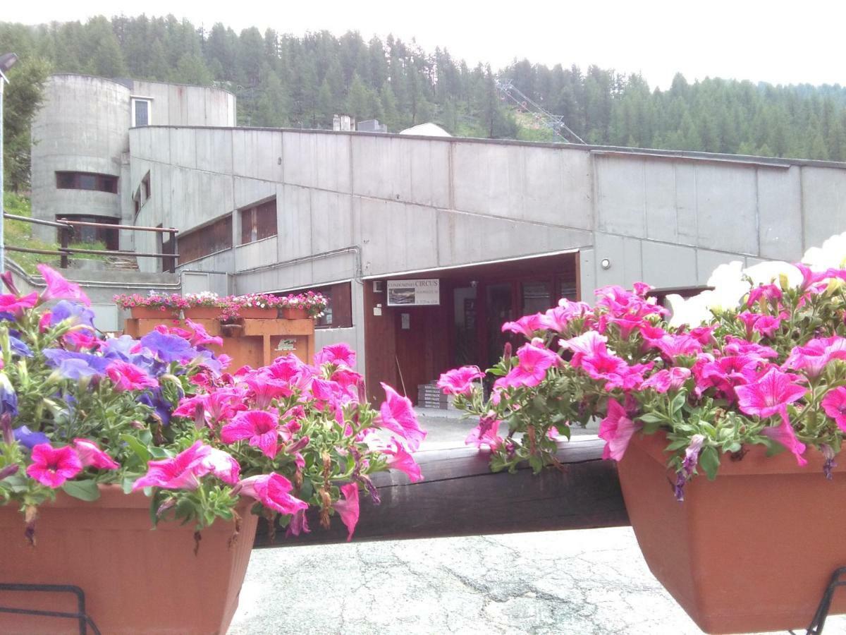 Soldanella Cervinia Apartment Vda Vacanze In Vetta Cir 0253 Breuil-Cervinia Ngoại thất bức ảnh