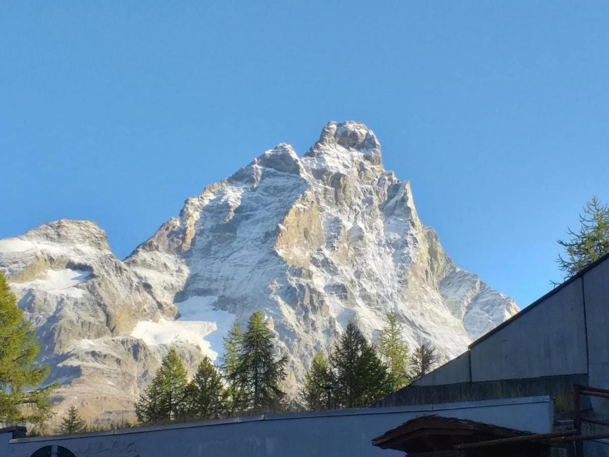 Soldanella Cervinia Apartment Vda Vacanze In Vetta Cir 0253 Breuil-Cervinia Ngoại thất bức ảnh