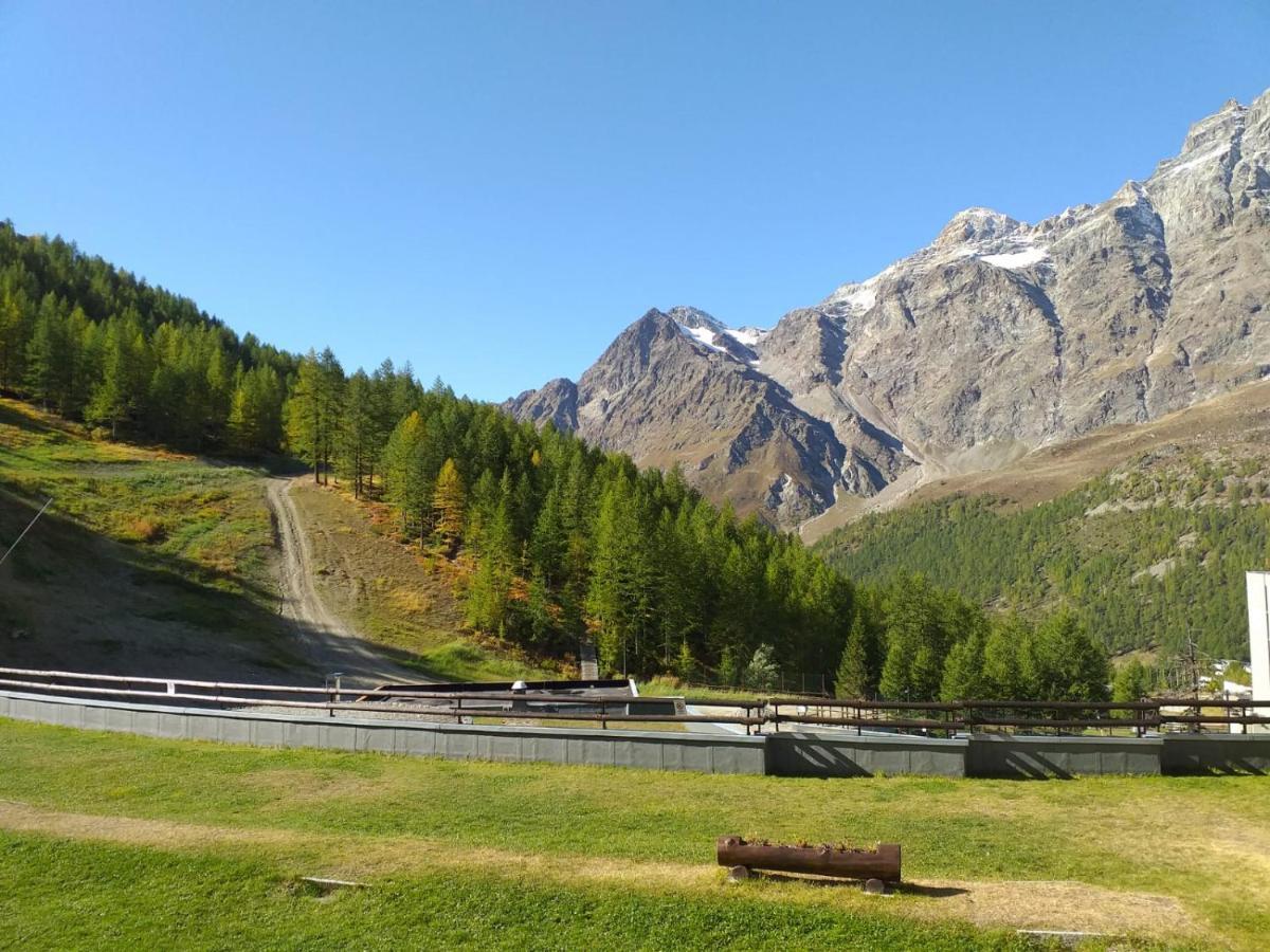 Soldanella Cervinia Apartment Vda Vacanze In Vetta Cir 0253 Breuil-Cervinia Ngoại thất bức ảnh
